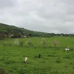 Stiegenstuebchen Am Weinberg