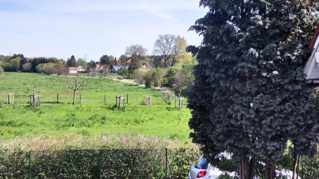 Stiegenstuebchen Am Weinberg Dresden