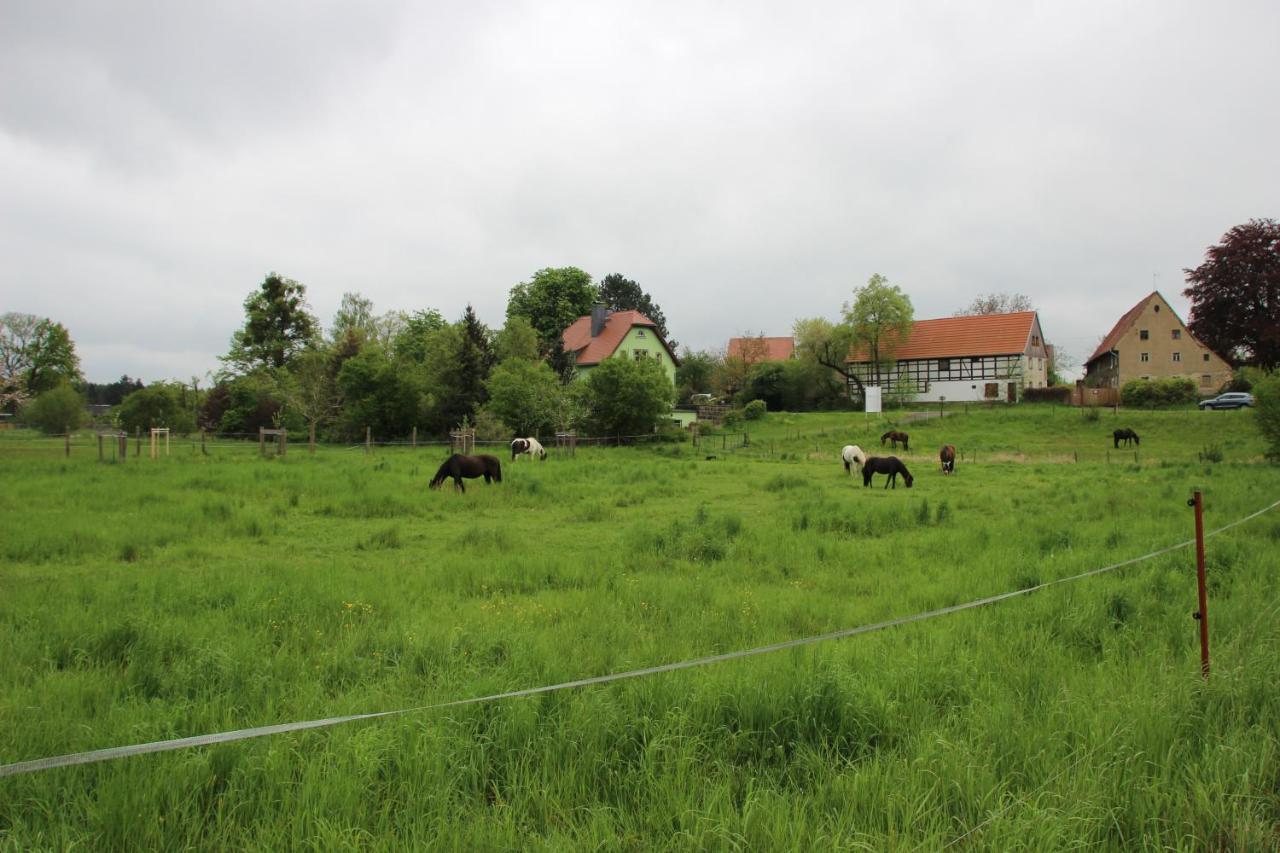 Stiegenstuebchen Am Weinberg * Dresden